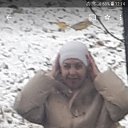    , --, 55  -  30  2024    