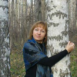 �����, ������