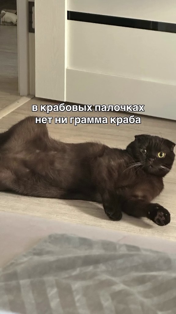 ������ ���� �����)
