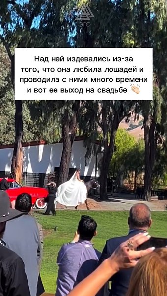 Необычный выход невесты. Она очень любит лошадей и проводила с ними много времени с самого детства - 2
