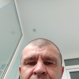 �������, 49 ���, �����������