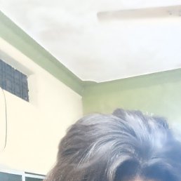 Honey, ���������, 29 ���