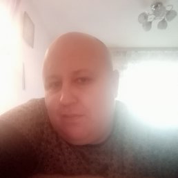 , 41, 