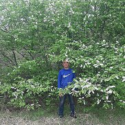 АНДРЕЙ, 43 года, Владивосток АНДРЕЙ, 43 года, Владивосток