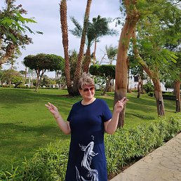 �����, ���������, 51 ���