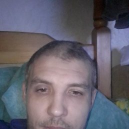 , 36, 