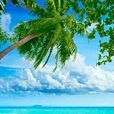 ���� ����, �������, 47 ��� - ��������� 1 ������� 2024 � ������ ���� ����������