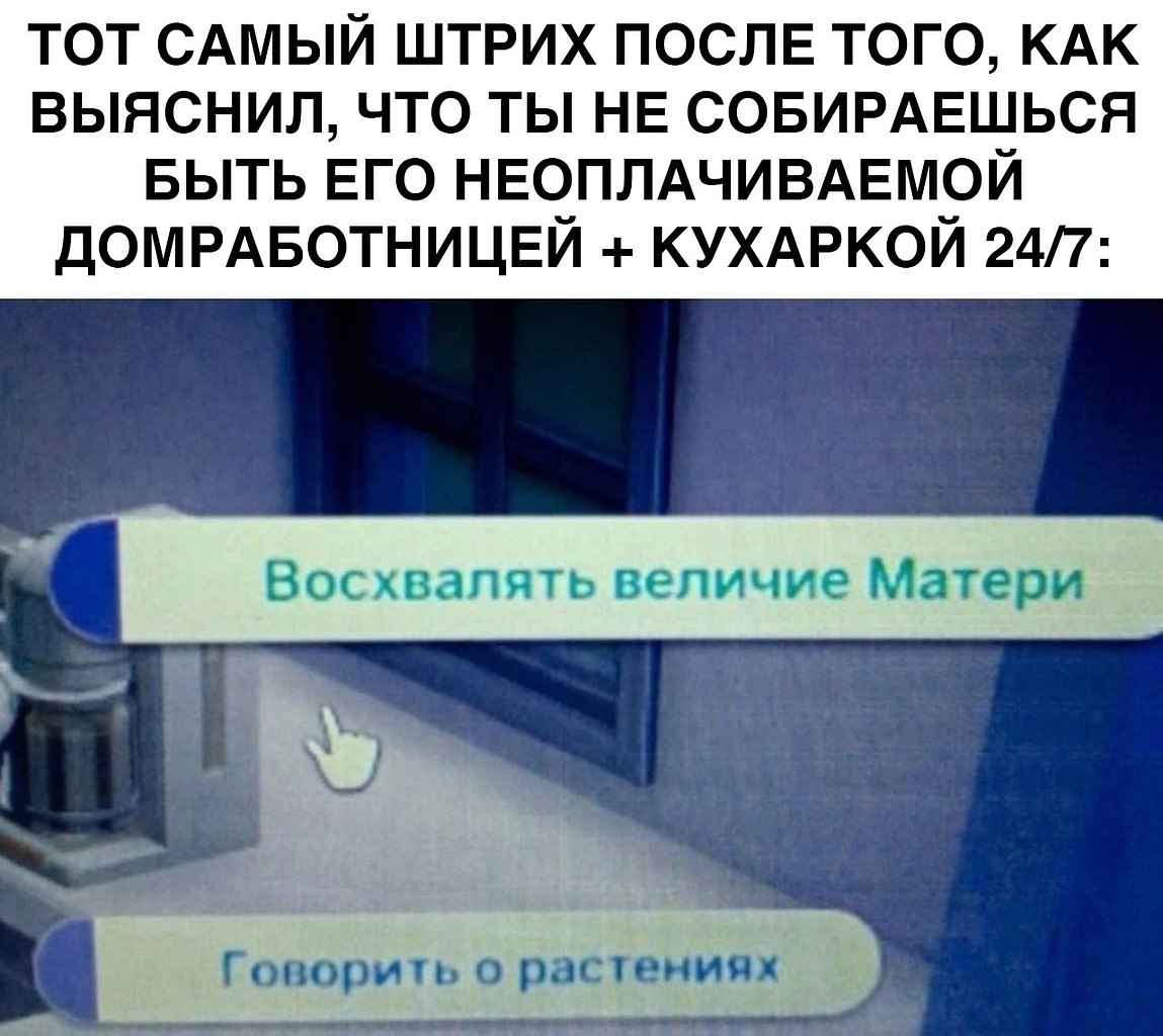   - 25  2025  22:41