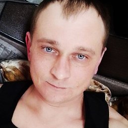 ����, �������, 41 ���