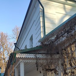 ����, 42 ����, ������