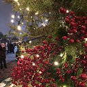 ���� �������, �������, 63 ���� - ��������� 8 ������ 2026 � ������ ���� ����������
