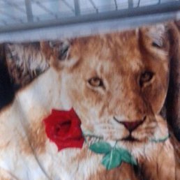 ����, ������, 45 ���