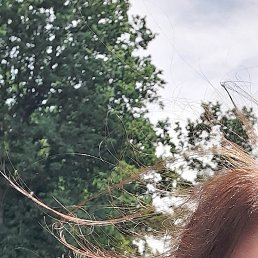 �����, �����, 52 ����