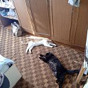 ���� �����, �������, 41 ��� - ��������� 16 ����� 2024 � ������ ���� ����������