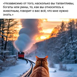 ���� ����, ������, 47 ��� - ��������� 6 ������ 2024