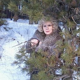 �������, ��������, 71 ���