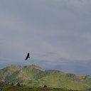 ���� ������, ����������, 57 ��� - ��������� 27 ������ 2025 � ������ ������� ������