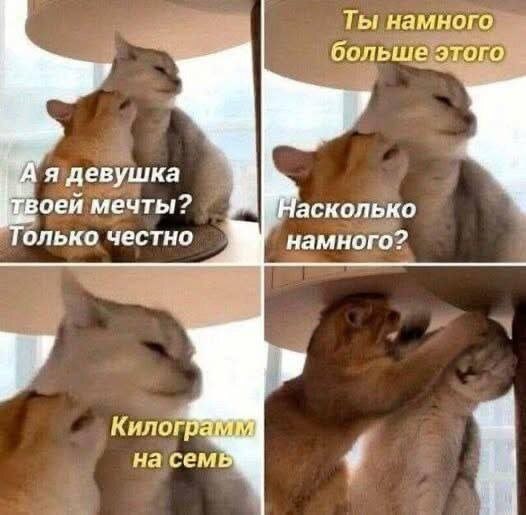��� ���� - 9 ���� 2026 � 11:00