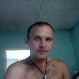 ����, 38 ���, �����������