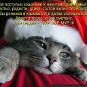 ���� Yu Ma, ������ - ��������� 1 ������ 2026 � ������ ������ ��������