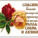���� ����, ������� - ��������� 20 ������� 2026 � ������ ������ ��������