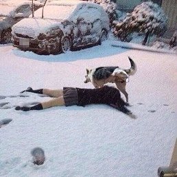 ������, ������������, 43 ����