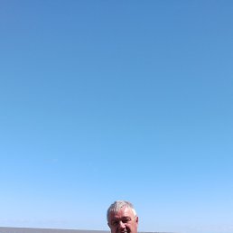 , 65 , --