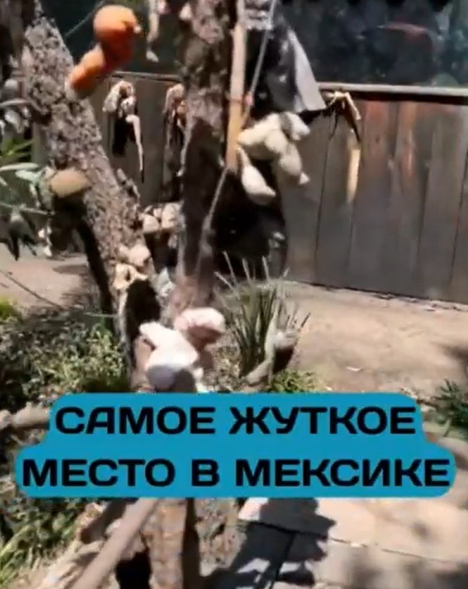 Остров, где куклы шепчут ночью — осмелитесь ли вы зайти? Недалеко от Мехико находится один из самых ...