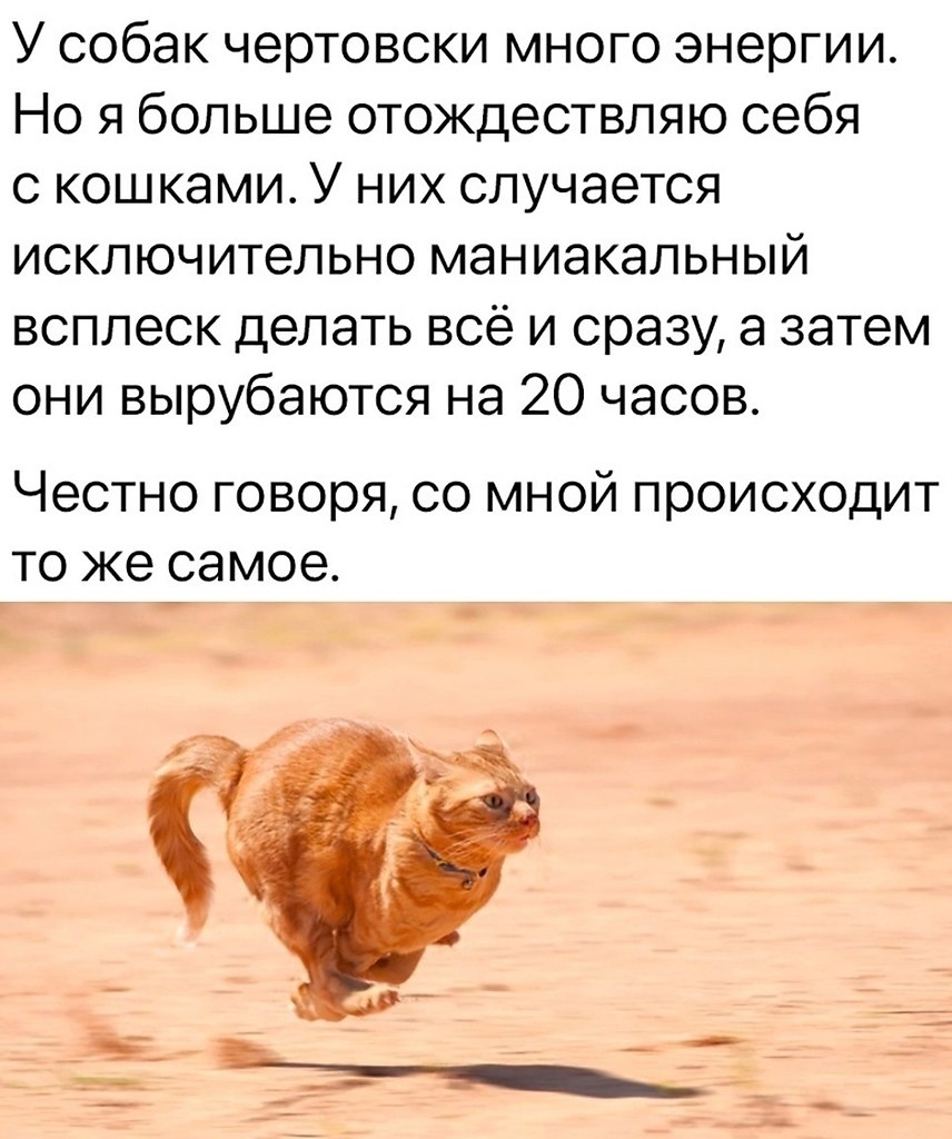    - 18    6 .