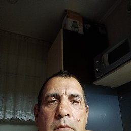 , 51 , 