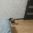 ���� ����, ������� - ��������� 13 ������ 2025 � ������ ������ ��������