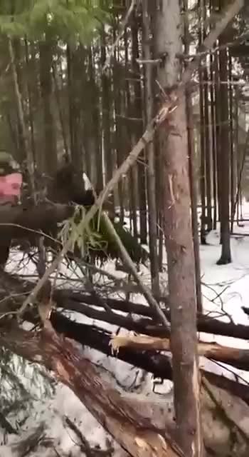 ������� ������� ��������� ������� �� �������! - 2