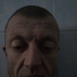 ������, �������, 44 ����