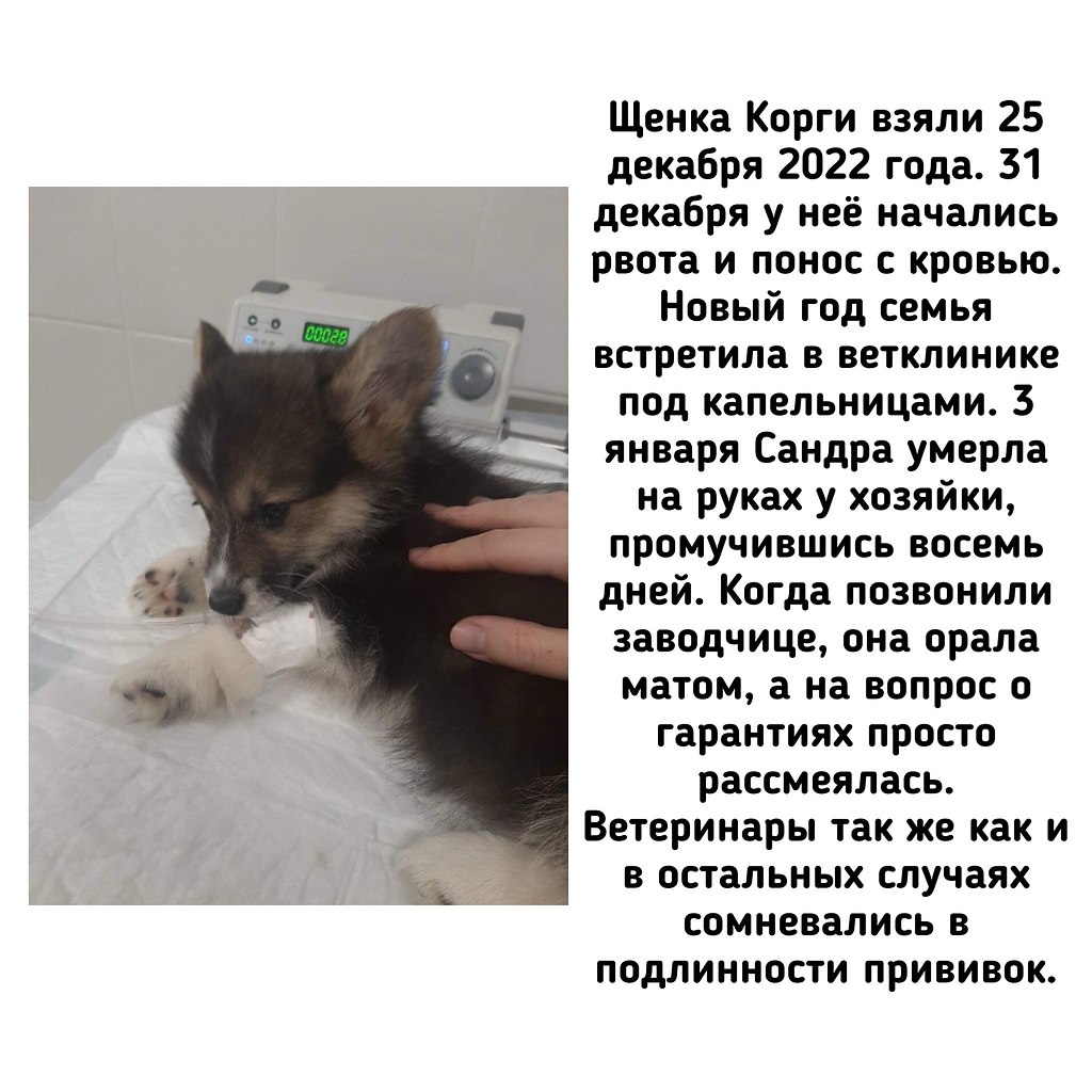 �� - ������������ ������ ������������ �� �������� ��������� (��������) �� ������ ����� (���������� ... - 4