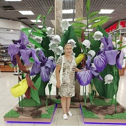 ���������, �����������, 47 ���