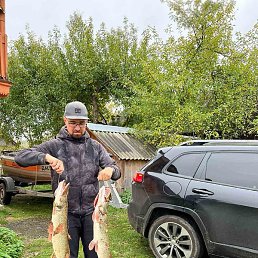 �������, ������, 54 ����