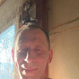 �����, 41 ���, �����