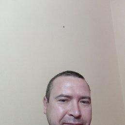, 41, 
