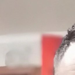 ����, ��������, 29 ���