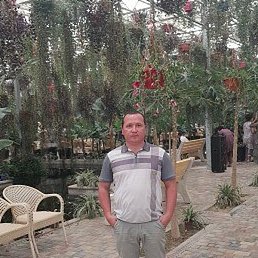 ���������, �����������, 36 ���