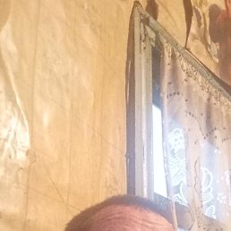 , 39, 