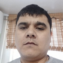 Kamal, �����-��������, 35 ���