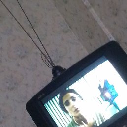 �����, ������, 44 ����