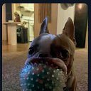 ���� ������, ������, 21 ��� - ��������� 9 ������� 2025