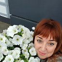 ���� �����, ������, 44 ���� - ��������� 4 ���� 2025 � ������ ���� ����������