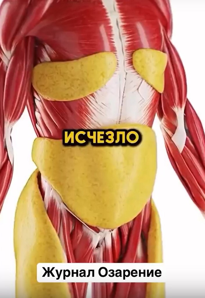     .   ,     ... - 2