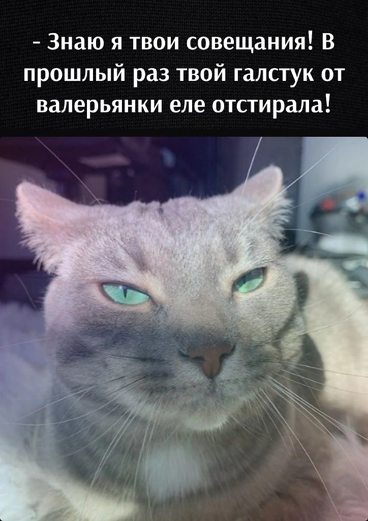��� ���� � ����� �� �� - 18 ������ 2026 � 17:12 - 2
