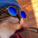 ���� �����, ������, 29 ��� - ��������� 9 ����� 2026 � ������ ���� ����������