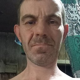 ��������, ������, 41 ���