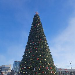 �����, ������, 46 ���